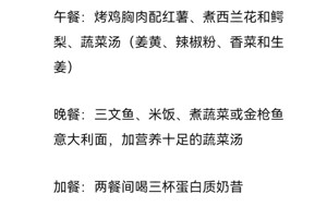 冠军球员的饮食和恢复方案分享:如何通过科学方法提升竞技状态